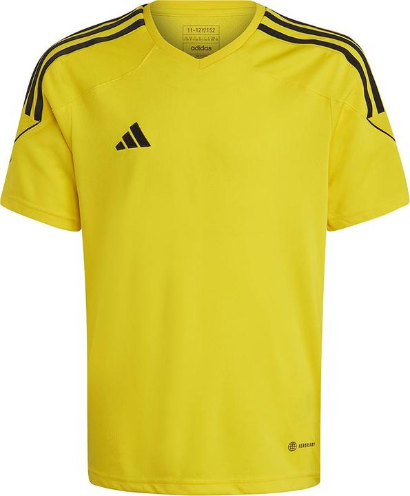 Yellow / Black