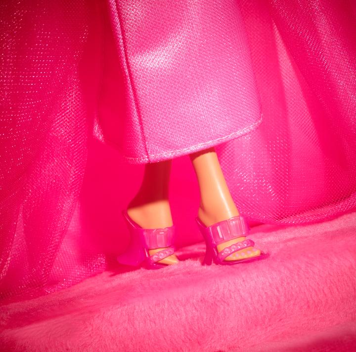 Actual product image Barbie HJW86 Pink Collection