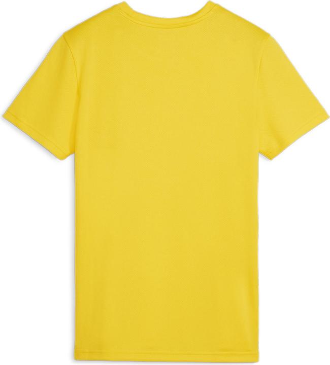 Produktbild Puma teamGOAL Jersey Wmn (L)