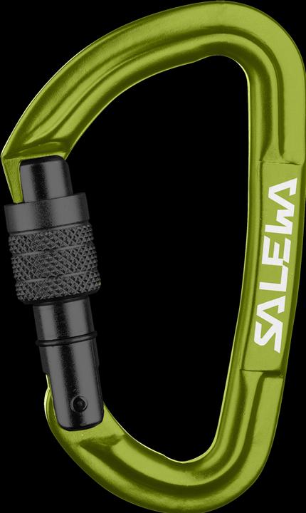 Actual product image Salewa Hot G3 Screw