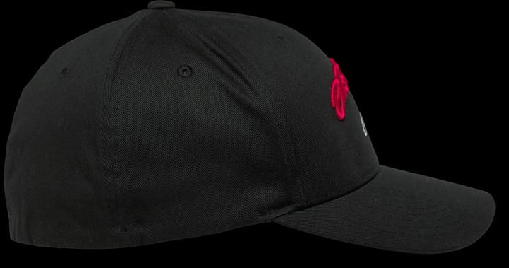 Image du produit Alpinestars A 24 Arcstars (L)