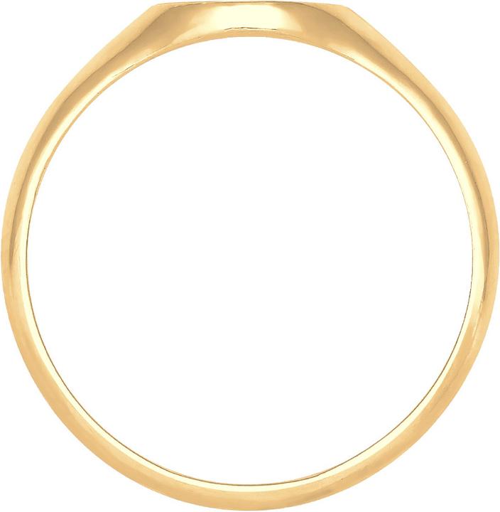 Image du produit Elli Siegelring Matt Optik (56, Argent 925)