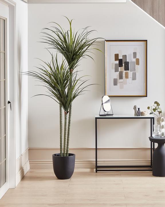 Actual product image Beliani Dracaena Anita (198 cm)