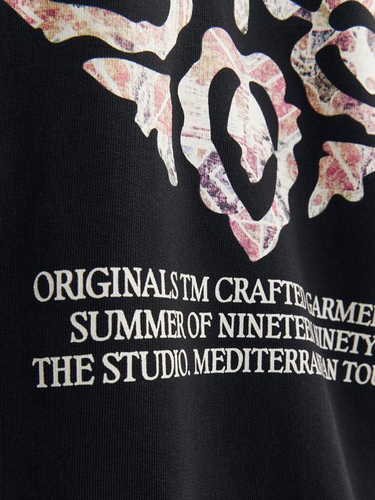 Image du produit Jack & Jones Jornoto Graphic Sweat Hood (S)