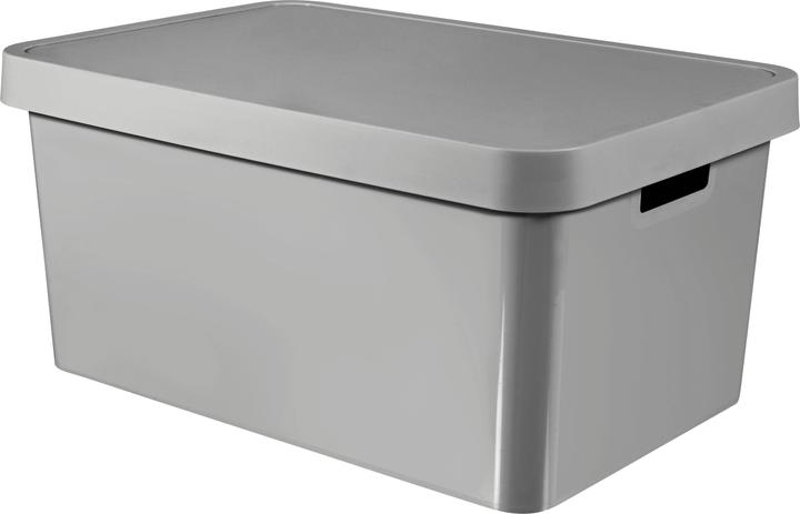 Curver Infinity 45L gray container with lid (45 l)