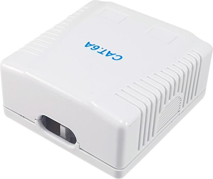 Produktbild equip Aufputzdose Cat6A 2-Port 2x RJ45 UTP