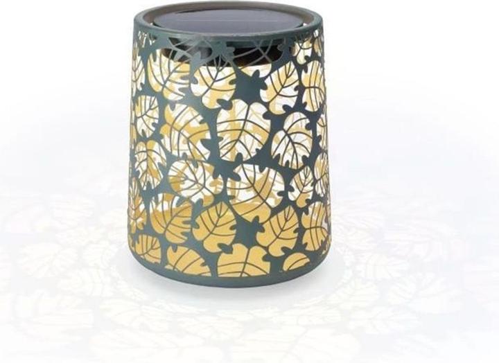 Actual product image STT Santana