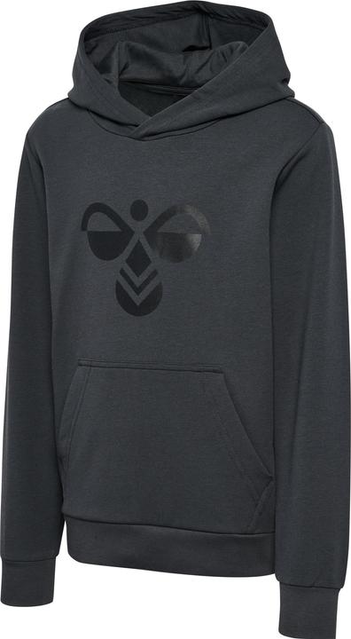 Actual product image hummel hmlCUATRO HOODIE (122)