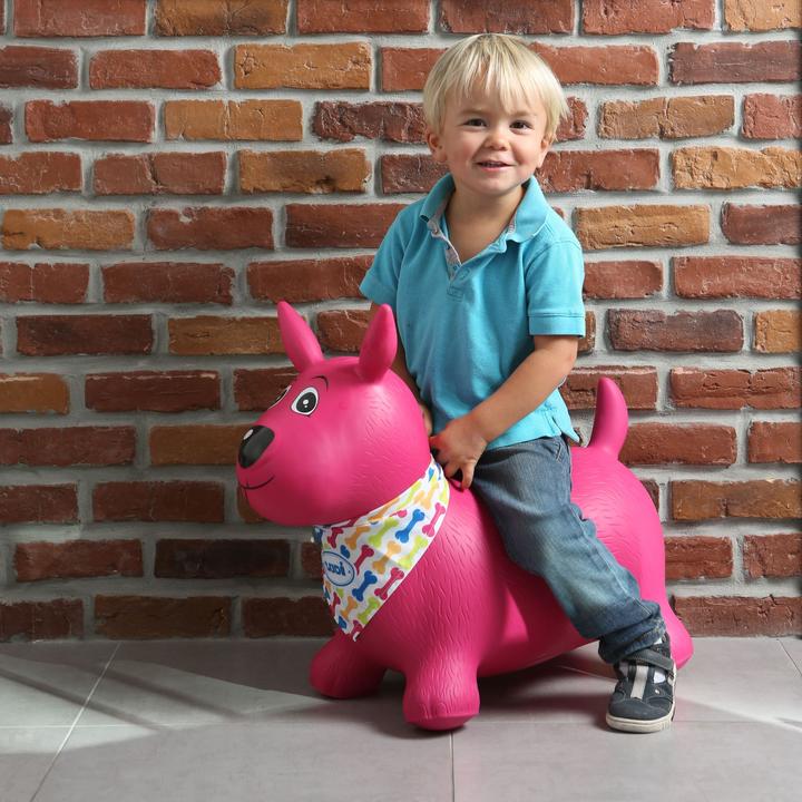 Actual product image LUDI Bouncing dog