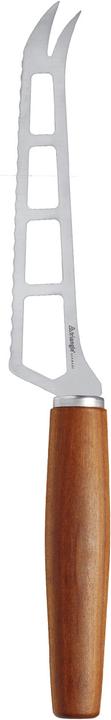 Actual product image Triangle Cheese knife