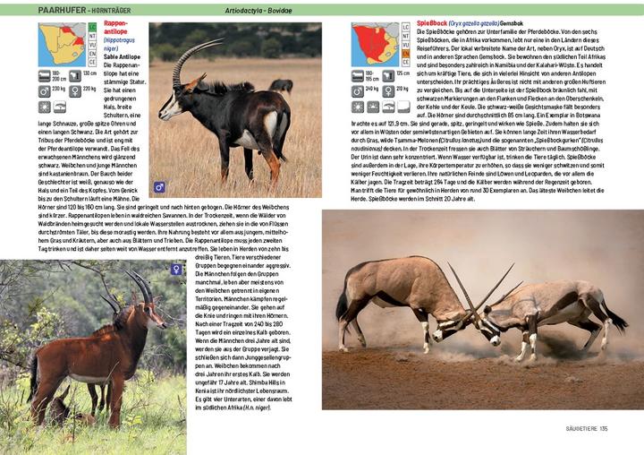 Actual product image Afrika Safari Media Safari-Reiseführer Südliches Afrika (German, Ruud Troost, 2023)