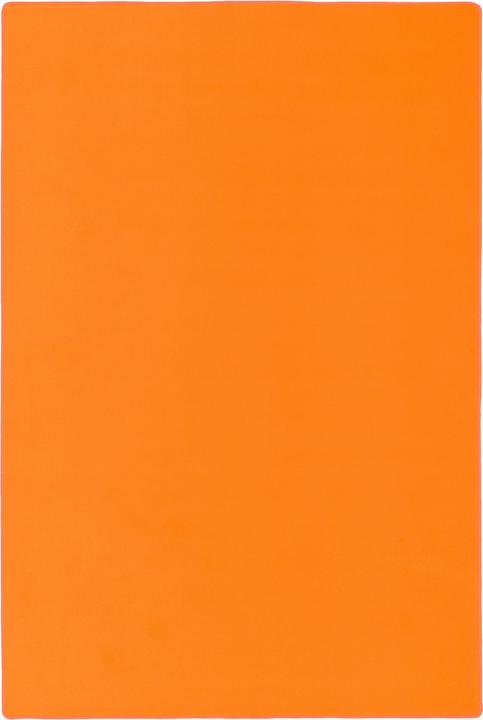 Image du produit Snapstyle Basic Velours Tapis Carla (80 x 160 cm)