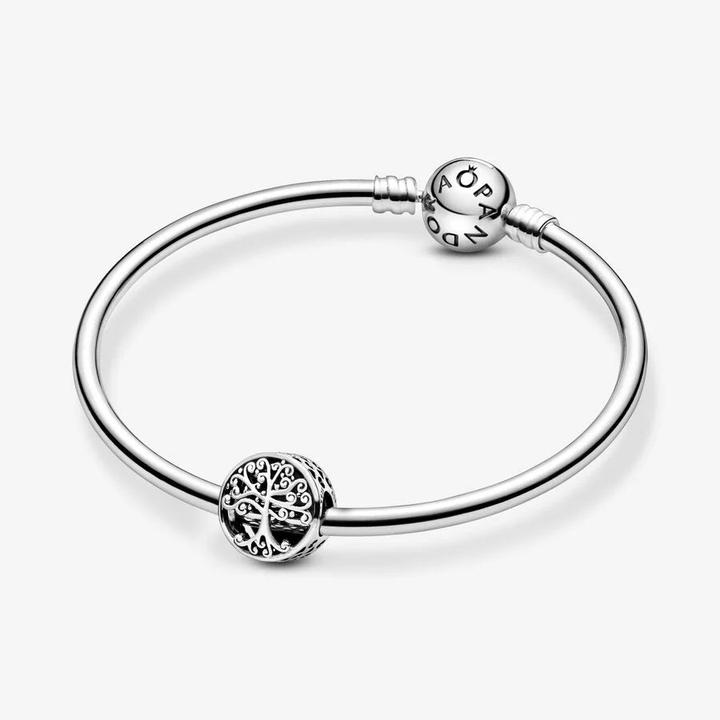 Image du produit Pandora Charm Hommage Familial (Argent)