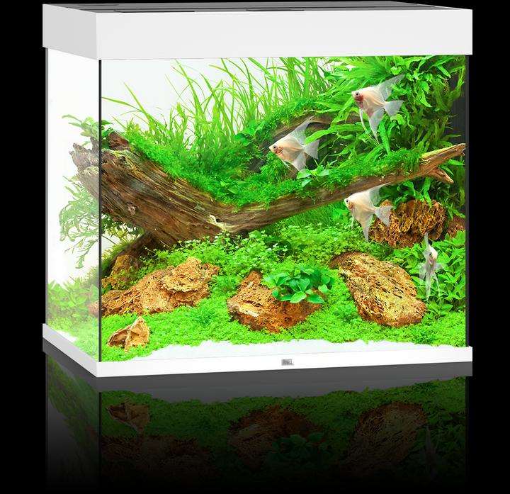 Image du produit Juwel Aquarium Aquarium Lido 200 70x51x65cm blanc (200 l)