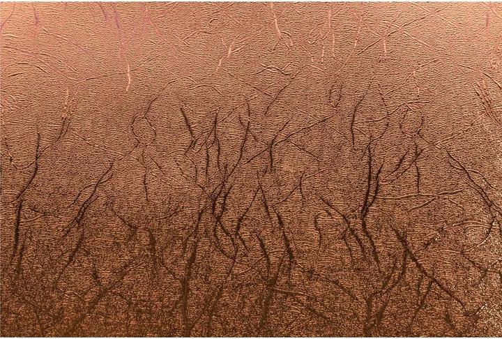 Actual product image Cricut Vinyl Foil Premium Copper Roll (1 x)