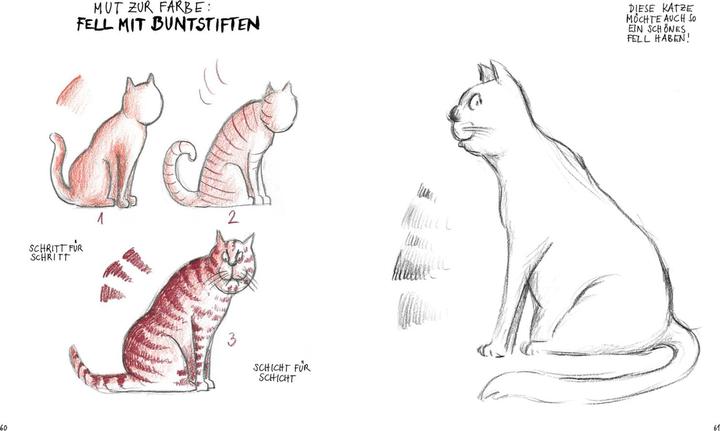 Immagine prodotto Ich kann (keine) Katzen zeichnen (Tedesco, Bang, 2023)