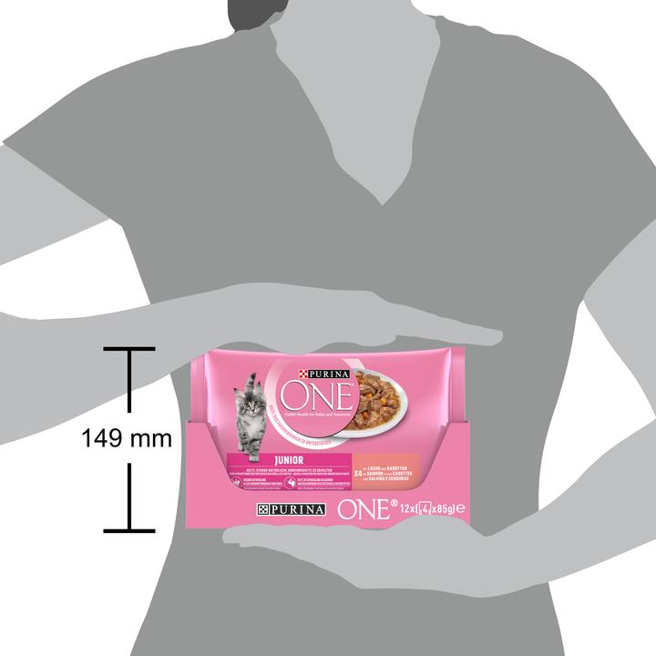 Produktbild Purina ONE Junior (Junior, 4 Stk., 85 g)