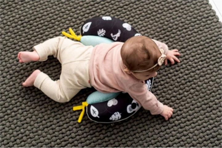 Produktbild Taf Toys 2in1 Bauchkissen