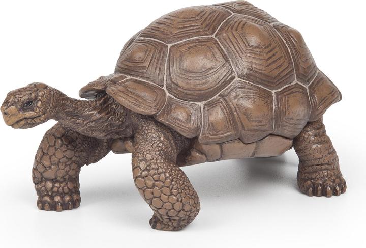 Image du produit Papo Tortue géante des Galápagos