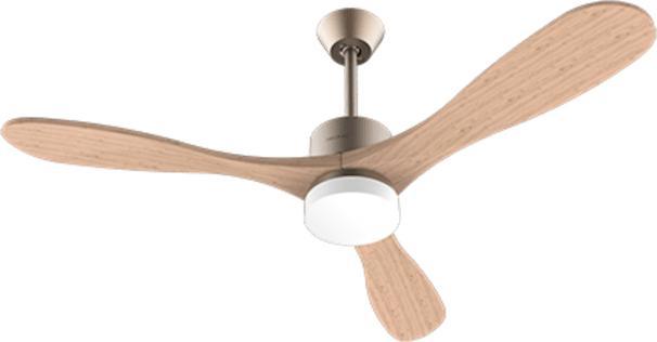 Actual product image Cecotec Energysilence Aero 5290 Golden Pro
