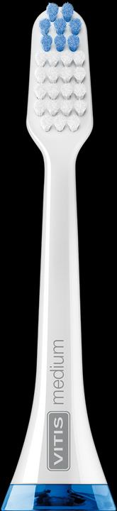 Actual product image Vitis sonic replacement brush head medium (2 x)