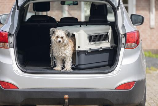 Image du produit Karlie Boîte de transport nomade (Chien, Chat, Verrouillable)