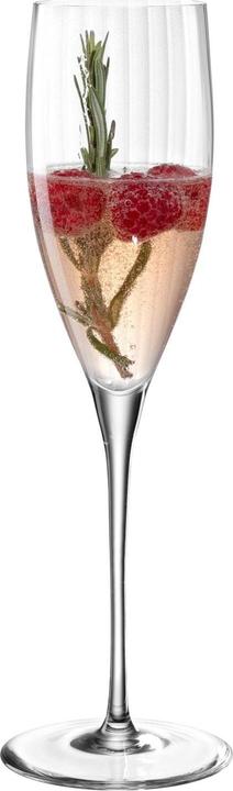 Actual product image Leonardo Champagne glass Poesia 250 ml, 6 pieces, Transparent (25 cl, 6 Glasses, Champagne glasses)