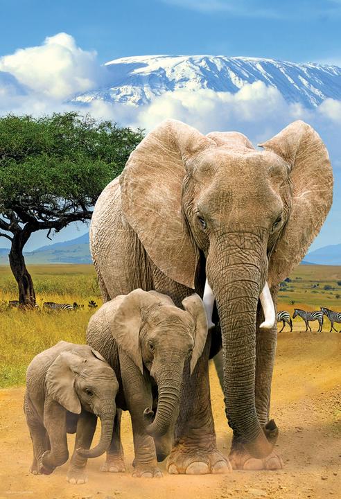Actual product image Eurographics Elephants - 250 parts (250 pieces)