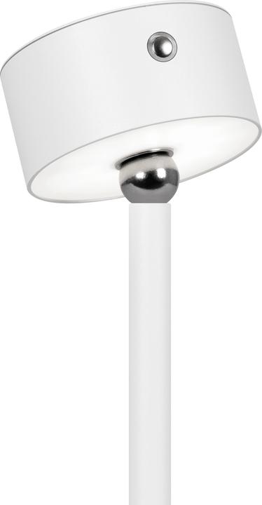 Produktbild Hansa Flare Ombre Schreibtischlampe weiss, matt 5 W (190 lm)