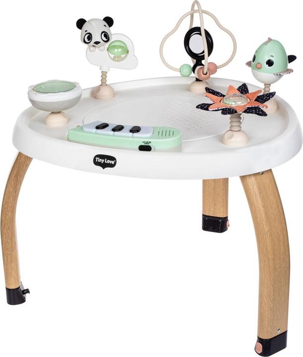 Produktbild Tiny Love 5in1 Here I Grow Aktivitätscenter