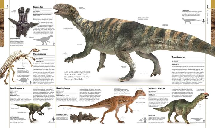 Image du produit Dinosaurier und andere Lebewesen der Urzeit (Allemand, Christopherua, Thomas, Jennifer/Duffin, BarryA/Clack, 2020)