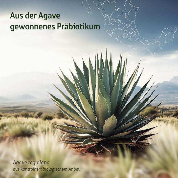 Produktbild Effective Nature Combi Flora Inulin (270 Stück)