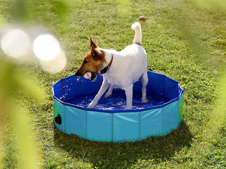 Produktbild Sweetypet Hundepool (Hundezwinger)