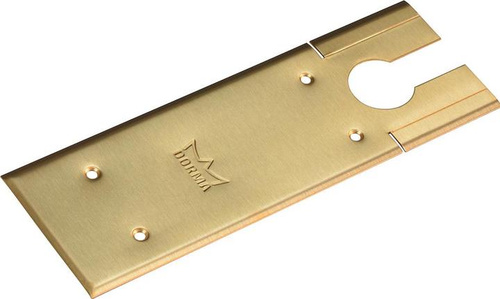 Actual product image Dormakaba DORMA cover plate for BTS 75 V brass matt brushed (46700159)