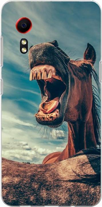 Lustiges Pferd