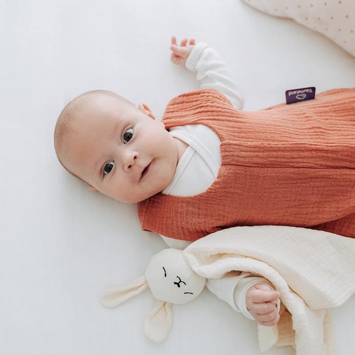 Image du produit Träumeland Gigoteuse d'été pour bébé Hophop Bunny taille 70 (70 cm)