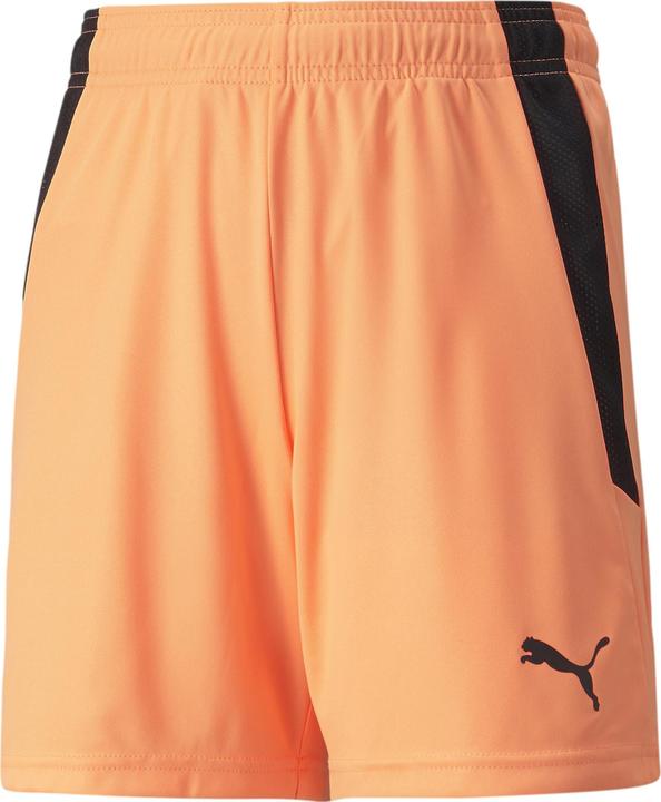 Produktbild Puma teamLIGA Shorts Jr (164)