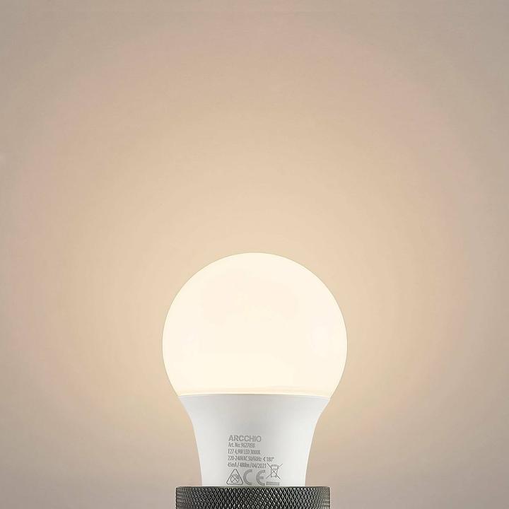Actual product image Arcchio LED lamp E27 A60 4,9W 3.000K opal (E27, 4.90 W, 470 lm, 1 x, F)