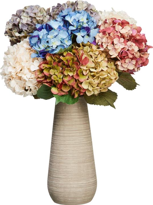 Produktbild micasa Hortensie (65 cm)