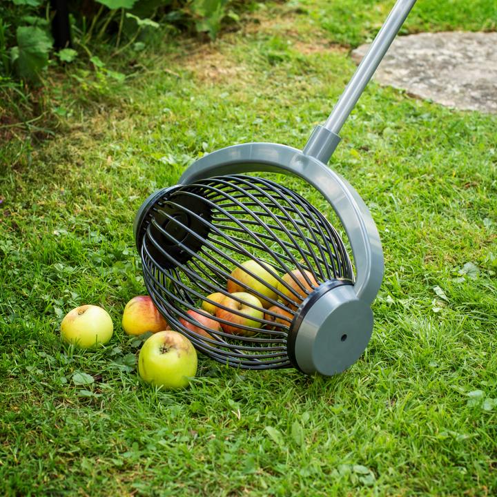 Actual product image UPP Roll collector/ fruit collector large with ALU telescopic handle