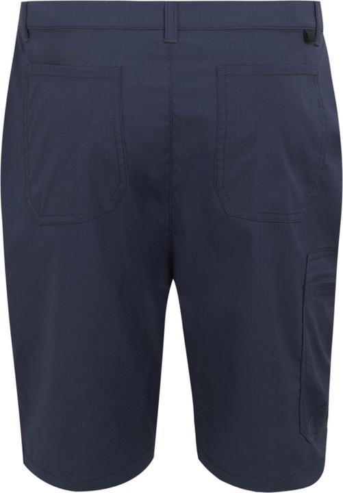 Actual product image Regatta Mens Dalry Multi Pocket Shorts (42)