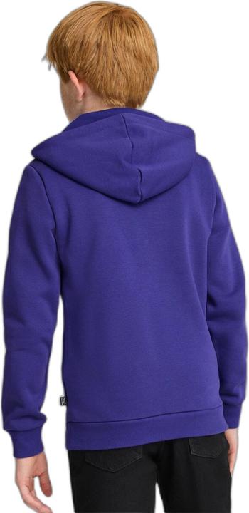 Image du produit Puma Sweat à capuche ESS+ 2 Col Big Logo FL B (98)