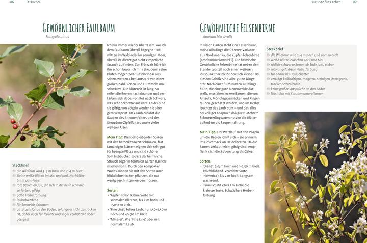 Produktbild Heimische Pflanzen für den Garten (Deutsch, Elke Schwarzer, 2022)