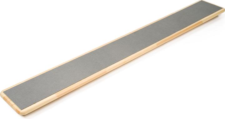Actual product image Sport-Thieme Lüne-Combinato board with blocks and ribbed rubber