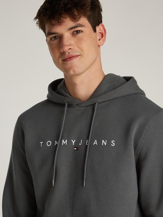 Produktbild Tommy Jeans Tjm Reg Linear Logo Hoodie Ext (S)