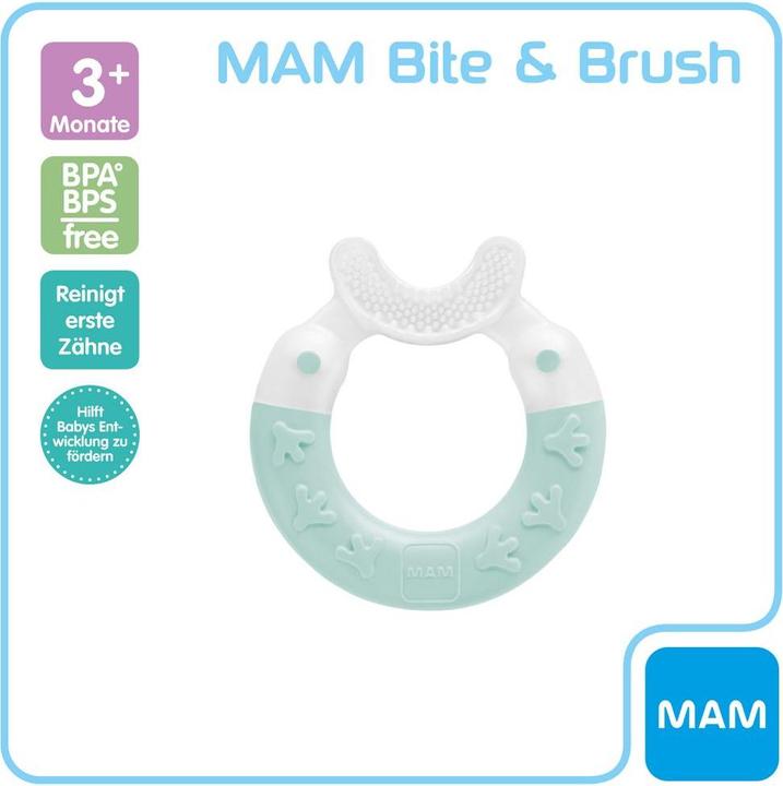 Produktbild MAM Beissring Bite & Brush 3+ Monate, 1 Stk, türkis