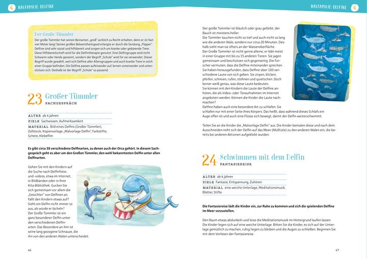 Actual product image Projektreihe Kindergarten - Wale und Delfine (German, Rebecca Meyer, Anya Moor, 2022)