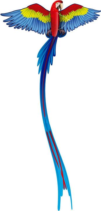 Image du produit Eolo Kites Ready 2 Fly - Perroquet cerf-volant 3D pop-up