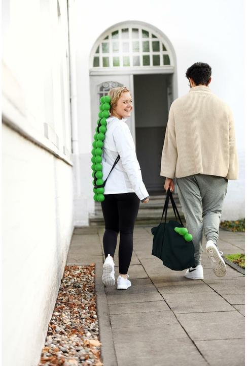 Image du produit Sissel Spinefitter Set de 10 avec Coach Bag Vert