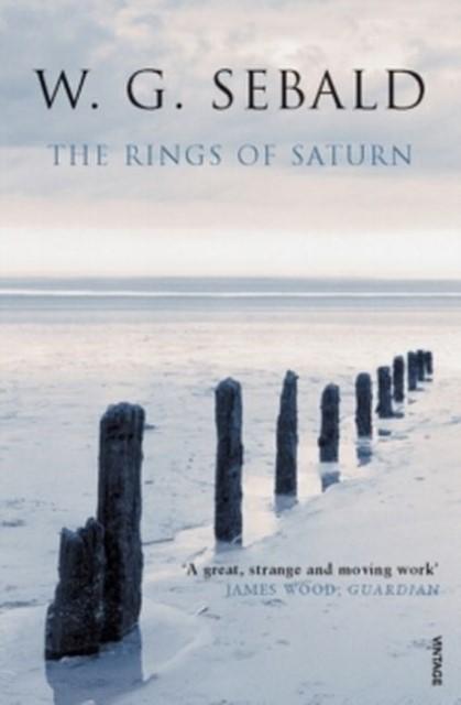 Image du produit The Rings of Saturn (Anglais, Michael Hulse, W. G. Sebald, 2002)